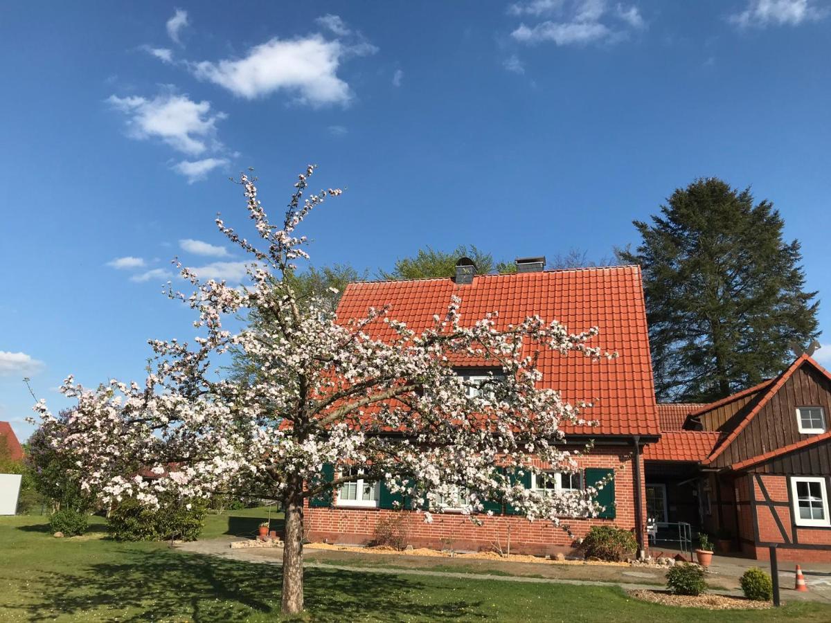 Ferienhaus-Eschede Екстер'єр фото